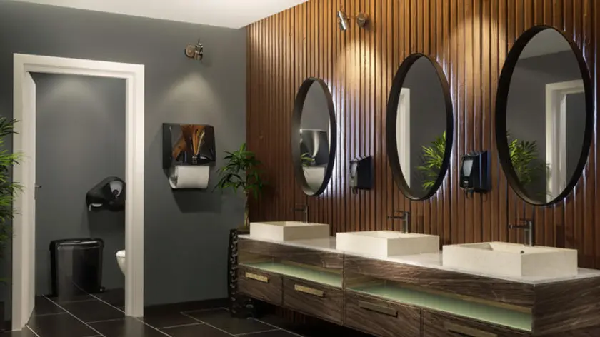 Phoenix washroom 2
