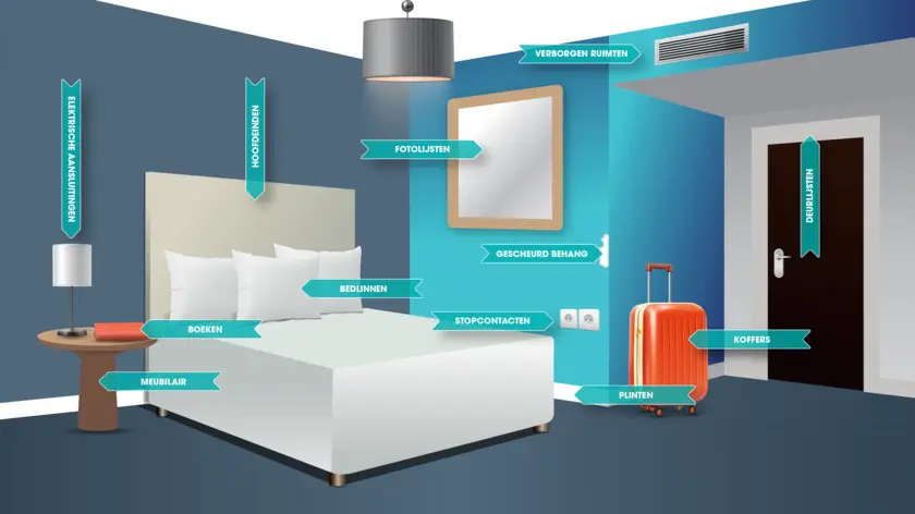Grafisch overzicht bedwantsen.png