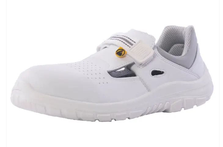 Schoen